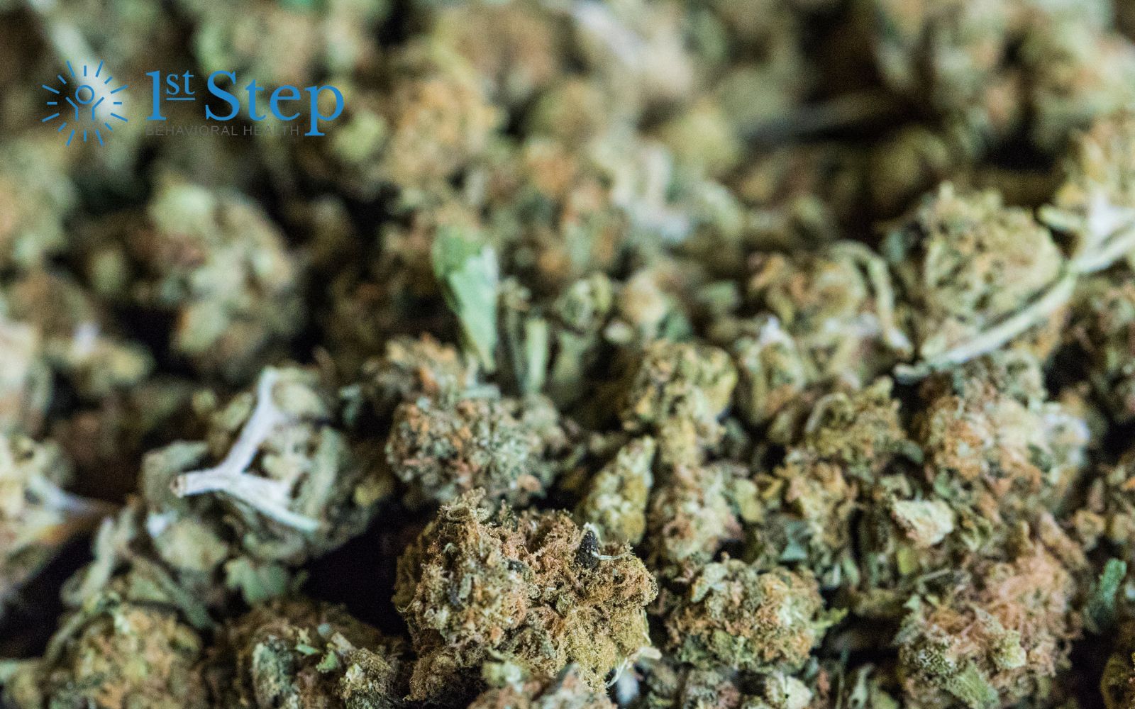 vape.hk/benefits-of-the-thca-flower-and-how-to-buy-the-right-one-for-you/ Exploring the Differences Between THCA and THC