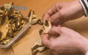 Can You Smoke Shrooms