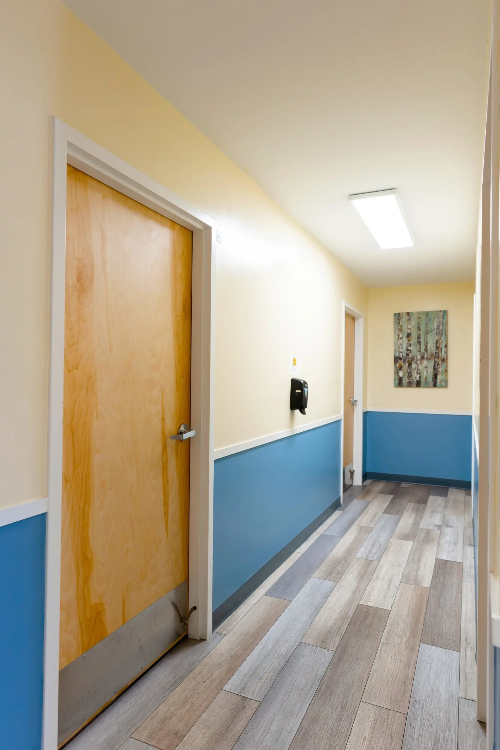 first step hallway and doors