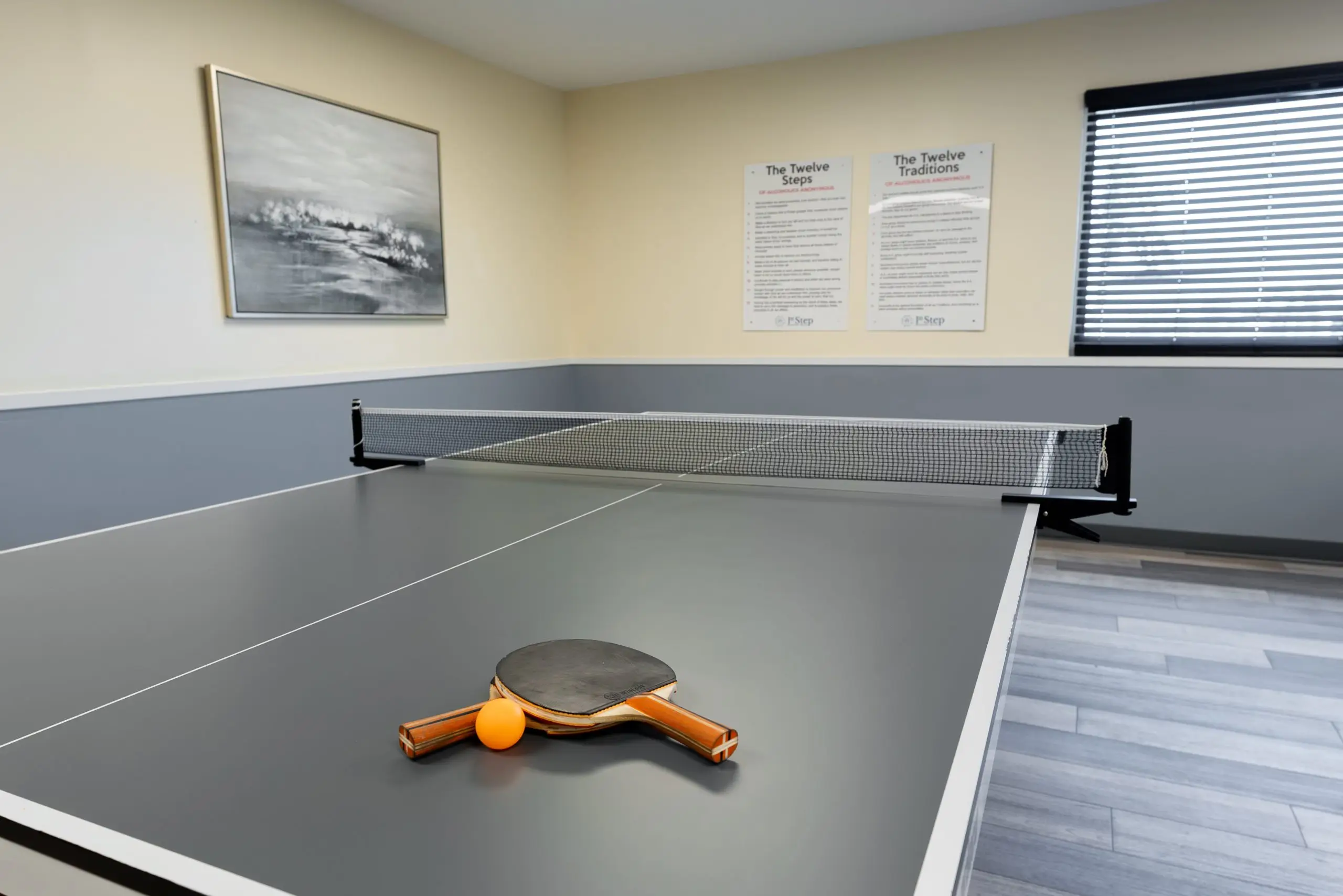 ping pong table