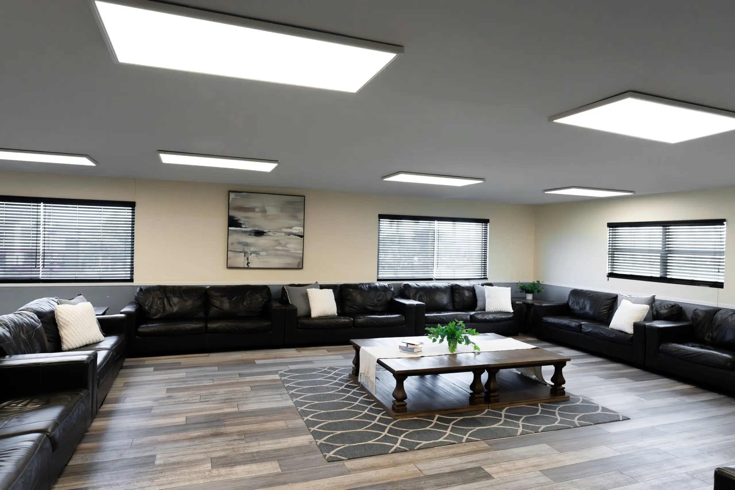 couch in group therapy room