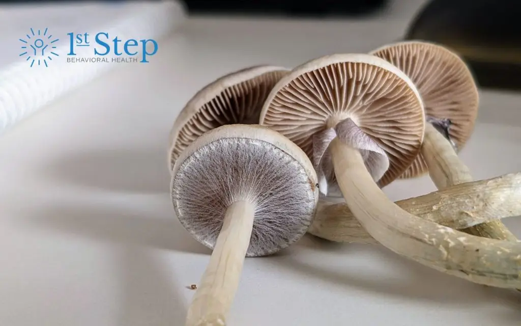 How Long Do the Effects of Shrooms Last