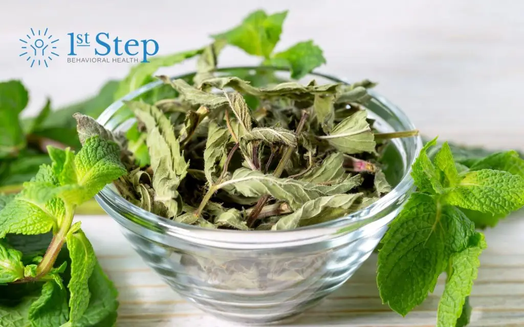 kratom detox program in pompano beach